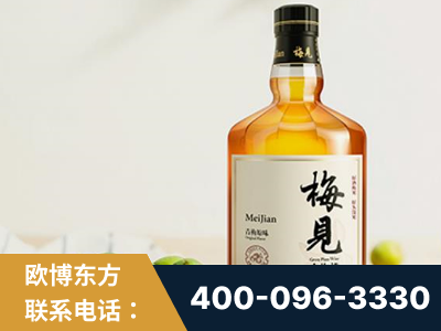 玉溪-梅见青梅酒